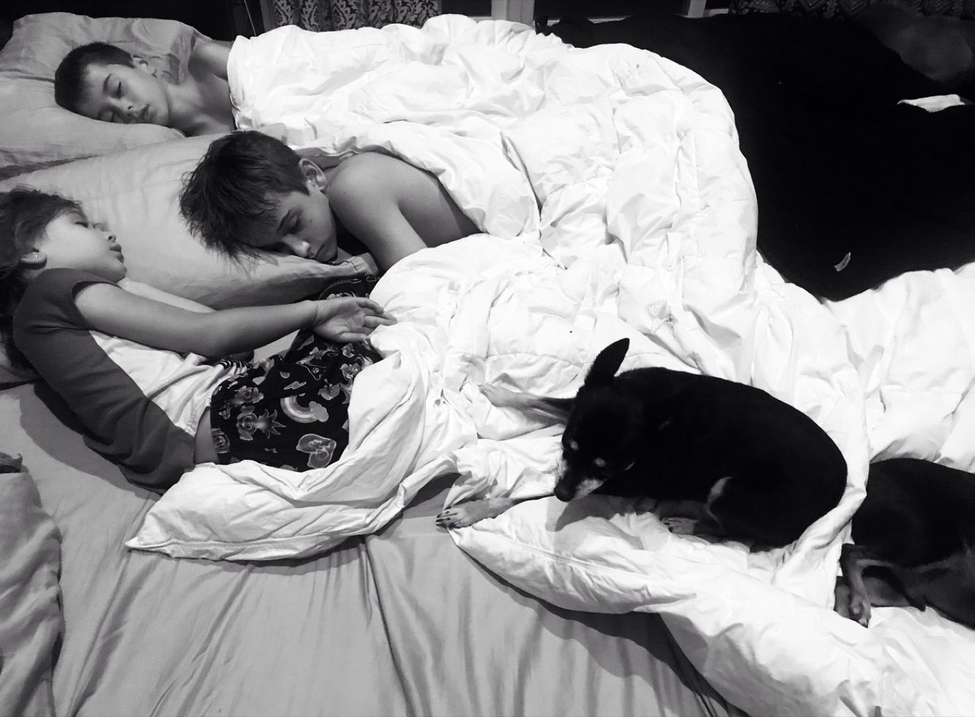 Jen’s kids asleep with one of the dogs
